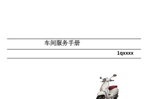 简体中文2016-2021年比亚乔Sprint 125-150维修手册Vespa春天150冲刺150