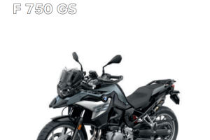 简体中文2021年F 750 GS – 0B38用户手册