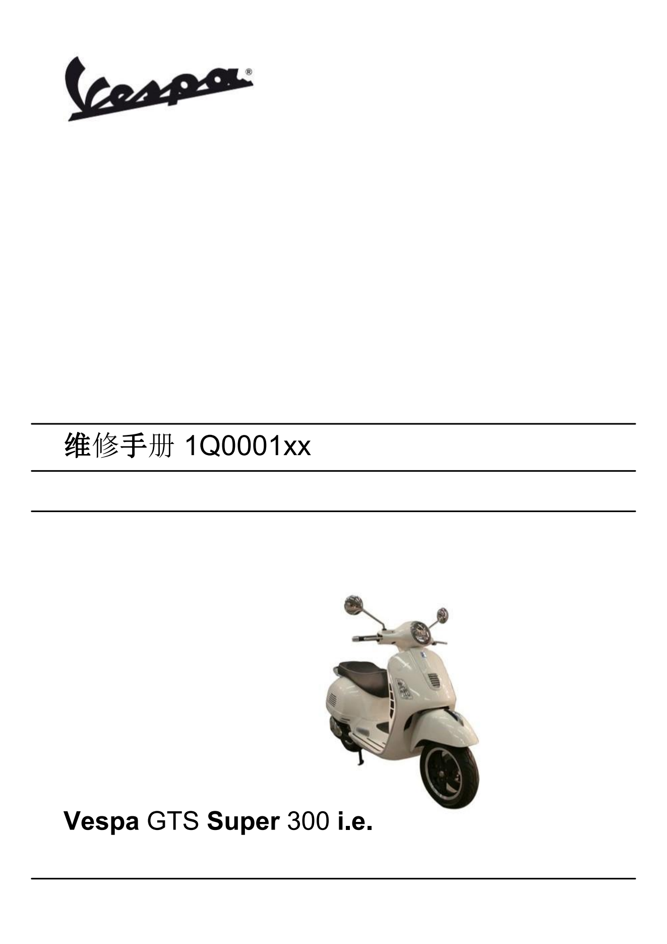 简体中文2015-2019比亚乔维斯帕GTS300ie维修手册VespaGTS 300维修手册插图