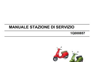 原版英文2021年Vespa Primavera-Sprint 50维修手册维斯帕Primavera-Sprint 50维修手册