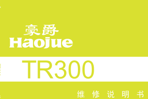 原版中文2022年豪爵TR300维修手册