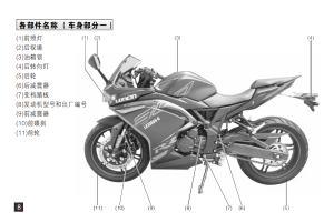 无极300rr LX300GS-D国四联合电子电喷说明书（含电路图）