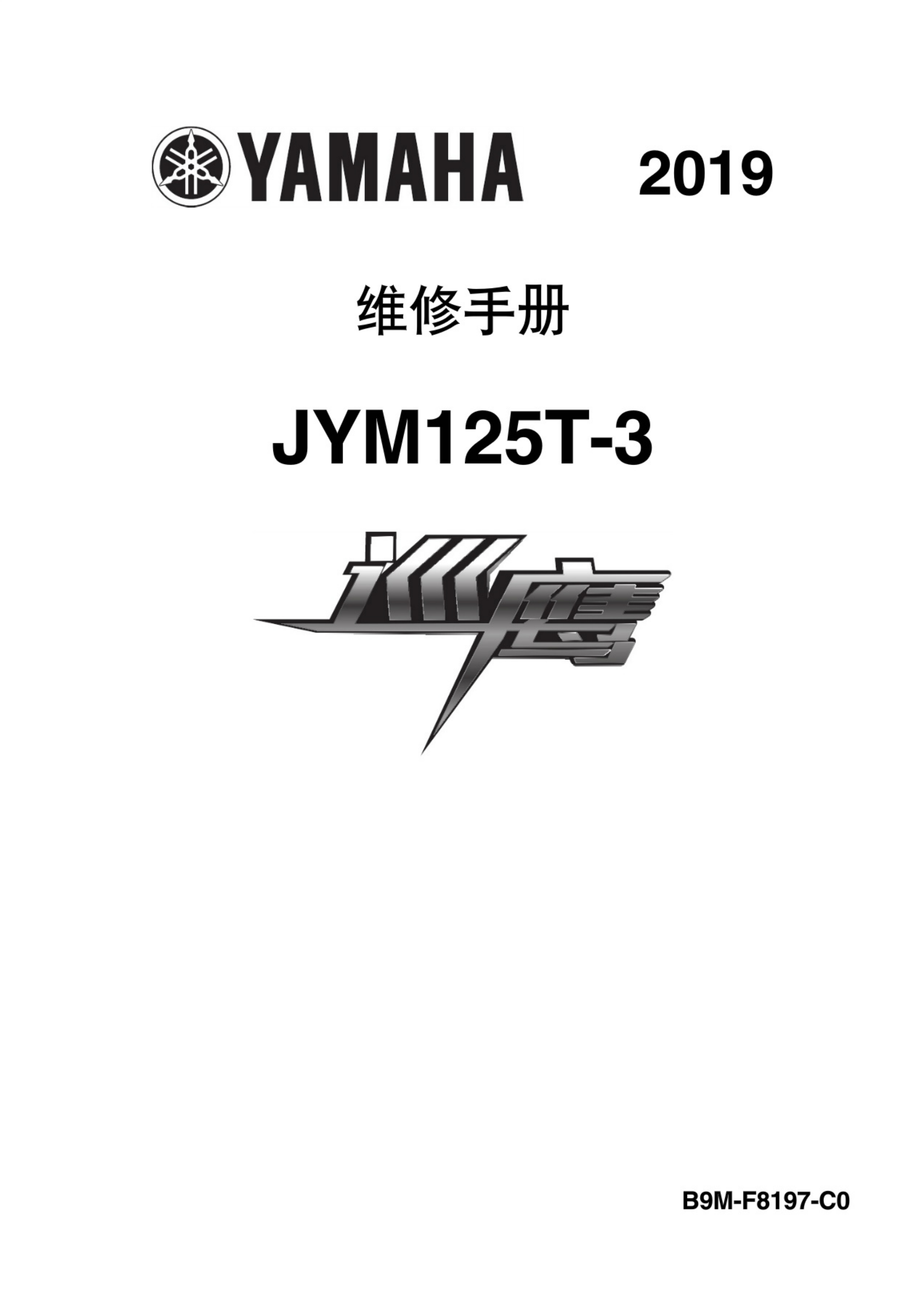 原版中文2019年雅马哈巡鹰维修手册JYM125T-3维修手册插图