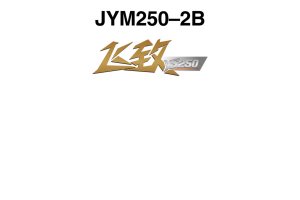 原版中文2018年雅马哈飞致250维修手册jym250-2b维修手册